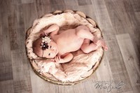 /album/utrimedvidku-cz/a10628750-771182592925686-4291071695895384364-o-jpg/